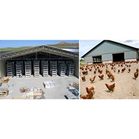 Structure de poulailler préfabriquée haute résistance, résistante au vent, en acier galvanisé, pour la construction de bâtiments d'élevage avicole, marque JIEKE