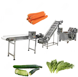 Equipo de lavado de rodillo de cepillo de zanahoria leguminosa Tipo de cepillo Lavadora de rodillos Máquina de frutas y legumbres - Product Image 1