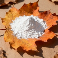 Poudre de chaux industrielle, pureté minimale 90%, hydroxyde de calcium, à bas prix