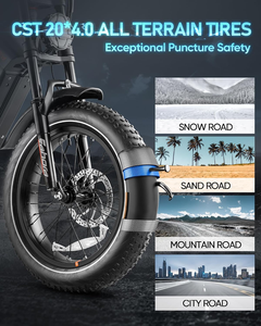 Vélo électrique Eahora Romeo Juliet Cargo, vente directe d'usine, fabriqué en Chine, vélo électrique de rangement, vélo électrique urbain pour adultes - Product Image 4