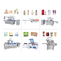 Machine de positionnement et d'alimentation de tubes entièrement automatique haute précision SX-009 avec scellage ultrasonique 20KHz pour dentifrice, eau et boissons