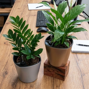 Wholesale Verified Manufacturer Round <b>Plastic</b> Self-Watering <b>Planters</b> with Water Level Indicator for Indoor Decor Small Size - Product Image 2