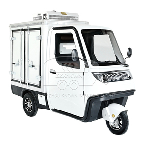 Tricycle électrique réfrigéré pour la livraison de nourriture, chaîne du froid, vélo cargo à trois roues, chariot congélateur mobile - Product Image 2