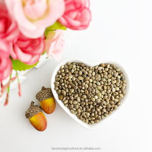 थोक थोक सन बीज निर्यात के साथ चीन मूल से सन बीज - Product Image 5