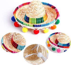 Sombrero <span class=keywords><strong>de</strong></span> Paja para Mascotas Pafu Carnival, con Bolas Coloridas y Diseño <span class=keywords><strong>de</strong></span> Cordón Ajustable, Ideal para Halloween, Cumpleaños, Playa y Fotos - Product Image 3