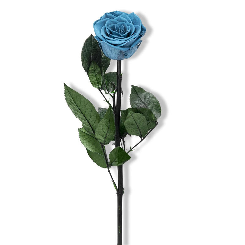 ทะเลสาบสีฟ้า