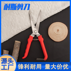Stainless Steel <b>Pruning</b> Shears With Red Handle For Garden Fruit <b>Tree</b> Branch Cutting <b>Tool</b> - Product Image 5