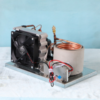 Mini Micro Laser Beauté 12V24V48V Distributeur D'eau Froide Refroidisseur Refroidisseur D'eau Crème Glacée