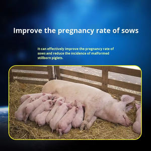 Bubuk Pengencer <span class=keywords><strong>Semen</strong></span> Babi Baru, Agen Pengawet Sperma Tahan Lama untuk Babi Betina, Bubuk Nutrisi, Peralatan Inseminasi Buatan - Product Image 3