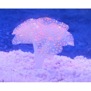 <span class=keywords><strong>Aquarium</strong></span> Landschapsarchitectuur Aquatische Planten Fluorescerende Koralen Siliconen Gesimuleerde Kwallen Sierlijke Vissen Decoratie Benodigdheden Groothandel - Product Image 6