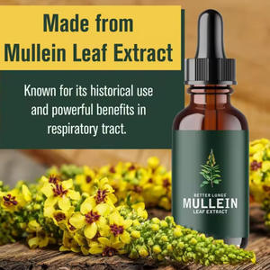 100%天然オーガニックビルベリーエキスとマルレインリーフドロップス健康食品グレード液体（ボトル入り）オーガニッククロロフィル - Product Image 3