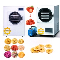 Lyophilisateur de qualité supérieure pour aliments, machine de séchage par lyophilisation, prix pour la maison avec pompe à vide sans huile, en stock aux États-Unis