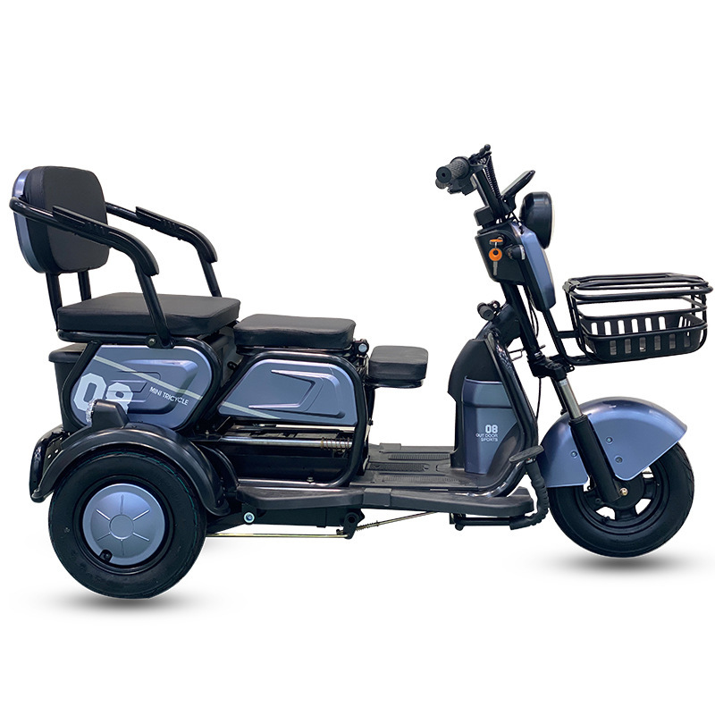 Factory OEM 48V 500W 3 Wheeled