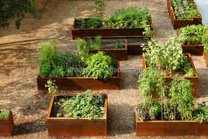 Bac de culture de légumes en acier rouille, plateforme pour le jardin, récipients de plantes - Product Image 4