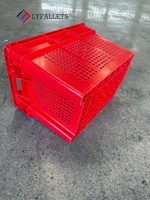 LYPALLETS Caisses de stockage et de logistique pour fruits et légumes, caisses à légumes de qualité alimentaire, caisses/paniers pliables en plastique