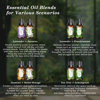 Ensemble Cadeau d'Huiles Essentielles Ingrédients Naturels Quotidien Douze Aromathérapie Ensemble d'Huiles Essentielles pour Massage du Corps
