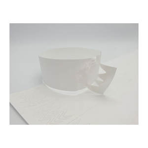 [AnyWristband] Hoja de TYVEK imprimible por inyección de tinta de 25 mm (1 pulgada) Hojas de TYVEK para inyección de tinta de calidad, producto solo para uso con inyección de tinta - Product Image 1