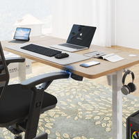 Bureau debout électrique ergonomique à moteur unique, réglable en hauteur, pour la maison, le bureau et la salle d'étude