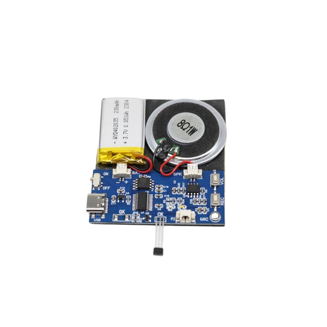 High Quality Sound Chip Module with Recordable Magnet Control and MP3 USB Changeable Voice Audio for Greeting Card Gift Box