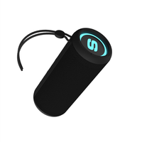 Enceinte bluetooth Portable étanche, haut-parleur avec poignée bluetooth, sans fil, caisson de basses, Mini boîtier, enceinte forte puissance