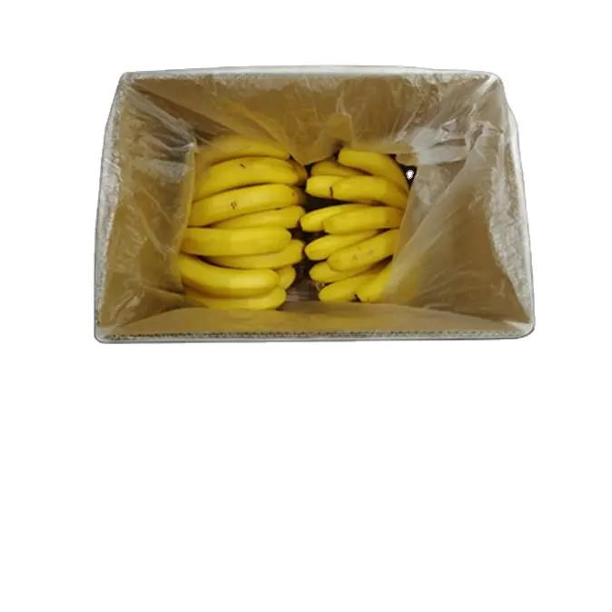 사용자 정의 로고 골판지 포장 과일 상자 사과 배송 우편 포장 종이 판지 오렌지 12 판지 상자 과일
