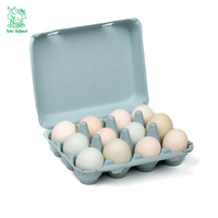 Vente en gros de cartons d'œufs en papier biodégradables écologiques Boîte à œufs en carton pour œufs de poule 3x4 noir 12 vides en stock