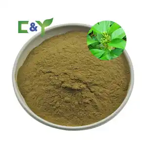 Manufacturers selling gymnema sylvestre powder gymnema sylvestre capsules gymnema sylvestre leaf extract