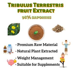 天然トリビュラス果実エキス 98% サポニン ISO ハラール コーシャ トリビュラス・テレストリス エキス粉末 サプリメント用 - Product Image 2