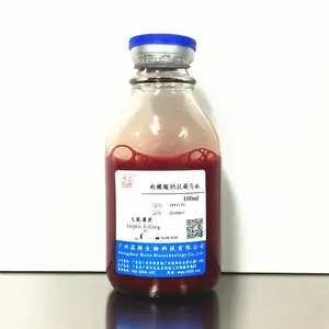 High Efficiency 500ml Fetal Bovine Serum Laboratory Cell Culture Media Reagent For Cell Growth And Research