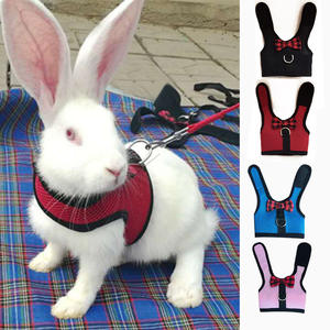 Kualitas Tinggi Grosir Pet Mesh Lembut Kucing Anjing <span class=keywords><strong>Harness</strong></span> dengan Tali Hewan Kecil Rompi Katun Memimpin untuk Hamster Kelinci Kelinci - Product Image 2