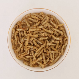 נטרה חלבון גבוה של בעלי חיים מזון דגים מזון מיובשים בשר עוף - Product Image 6