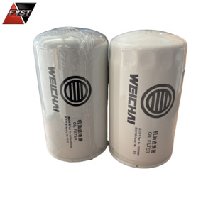 <span class=keywords><strong>Filtre</strong></span> <span class=keywords><strong>à</strong></span> <span class=keywords><strong>gasoil</strong></span> 1003083748 812700080124 1002175689 <span class=keywords><strong>pour</strong></span> moteur Wp10, pièces de moteur diesel industriel - Product Image 1