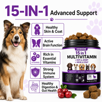 OEM ODM Marque Privée 15-en-1 Multivitamines pour Chiens sous Forme de Friandises Tendres Glucosamine Probiotiques Huile de Saumon Santé Articulaire Peau Pelage et Digestion