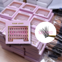 SJ LASHES vente en gros cluster 3D et individuel C/D Curl Fox Cat Eye Eyelash Kit cils vente en gros marque privée
