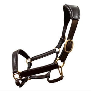 Riel de cuero duradero occidental ecuestre internacional Z S al por mayor equipo de carreras de caballos impermeable caja de cabestro de cuerda - Product Image 1