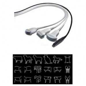 Mesin <span class=keywords><strong>Ultrasound</strong></span> merek terkenal hewan <span class=keywords><strong>Sonoscape</strong></span> <span class=keywords><strong>A5</strong></span> dengan harga terbaik di Cina - Product Image 2