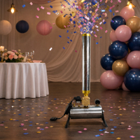 Vente en gros de poudre de confettis en aérosol Télécommande électronique Révélation du sexe Feux d'artifice extérieurs Fête de mariage Fête de remise des diplômes