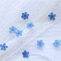 Geverifieerde Droge Bloem Fabrikant Mini Natuurlijke Echte Gedroogde Bloem Nail Art