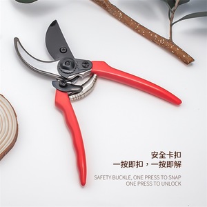 Tuinschaar W/Comfortabele Handgreep Tak Stengel En Boom Trimmer Handgereedschap - Product Image 6