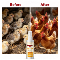 Aide respiratoire pour volailles : Complément pour poulets aux fruits, absorption rapide pour les éternuements, la toux et le soulagement nasal, sûr pour toutes les aves.