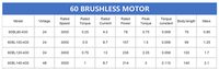 12V 24V 310V Bldc Motor 120W 8KW 10kw Dual 3hp 3000rpm 60 Brushless Dc Motor for Fan