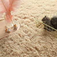 Tapis épais ultra-doux en peluche pour salon, chambre, baie vitrée, chevet, grand tapis de sol
