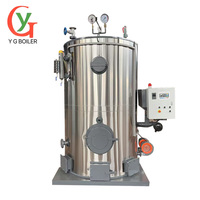 Caldera de Vapor de Pellets de Biomasa de Leña y Carbón Serie YG LHG para Máquina de Pellets de Biomasa y Máquina de Planchado Industrial a Vapor