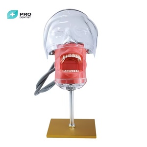 <strong>Dental</strong> <strong>Simulation</strong> Simple Head <strong>Unit</strong> ,<strong>dental</strong> Phantom Head - Product Image 3