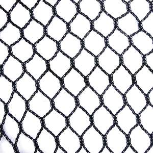 <span class=keywords><strong>Filet</strong></span> anti-oiseaux hexagonal durable sans nœuds pour la protection des vignobles et des arbres fruitiers - Product Image 1