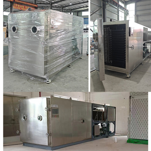Équipement de lyophilisation sous vide industriel en acier inoxydable SUS304 pour la transformation alimentaire, 400 kg/lot, pompe Bitzer/Leybold, 380 V, garantie 1 an - Product Image 5