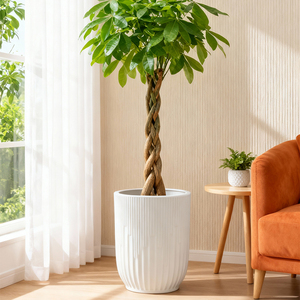 <span class=keywords><strong>Pot</strong></span> de fleurs décoratif Yicai, grand modèle en plastique épais et agrandi pour <span class=keywords><strong>Monstera</strong></span> <span class=keywords><strong>Deliciosa</strong></span> - Product Image 3