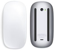 Magic Mouse 2 MK2E3AM/A USB-C tactile sans fil pour Apple Multi Touch Surface