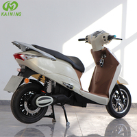 Scooter Électrique 800W Marque 2025 – Prix de Gros Direct Usine – Moto Électrique Utilitaire 800W pour la Mobilité