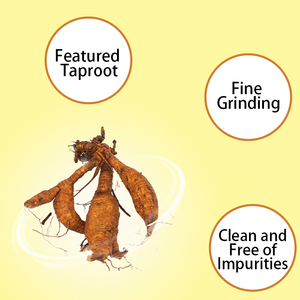 <span class=keywords><strong>Kudzu</strong></span> kök tozu kuaria kufica özü <span class=keywords><strong>kudzu</strong></span> kök nişasta özü tozu - Product Image 3